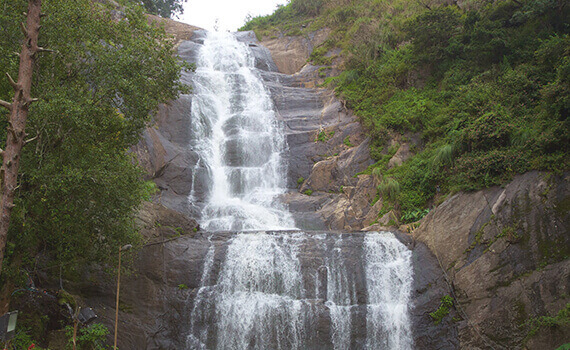 Mannavanur Lake Bungalow Stay 