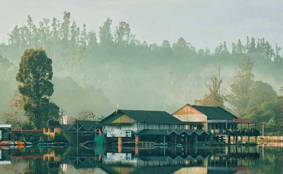 Best Homestay near kodai lake