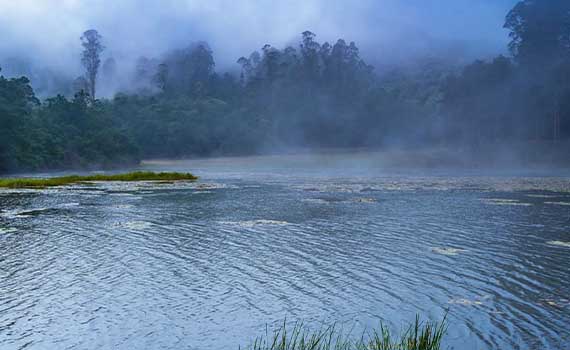 Luxury Stays in Silver Cascade Falls