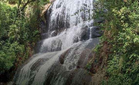 Luxury Stays in Vattakanal Water Falls