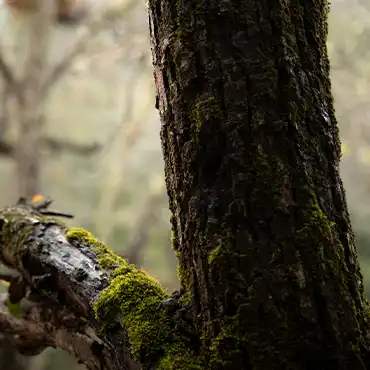 Poondi Village Home Stay Resort