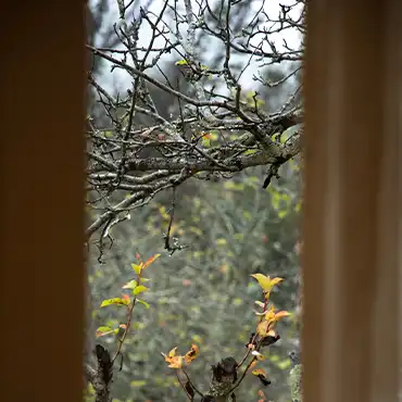 Berijam Lake Stay with Fireplace