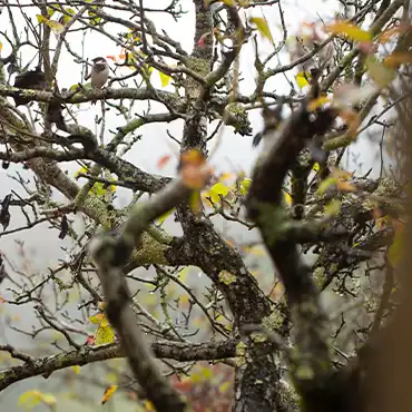 Coakers Walk Villa Stay Resort